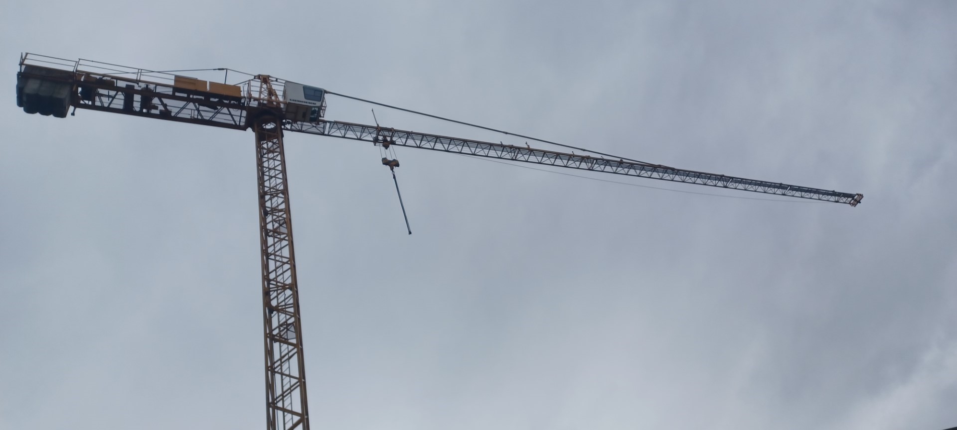 Specialized crane on a project